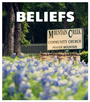 Page_ourbeliefs_graphic
